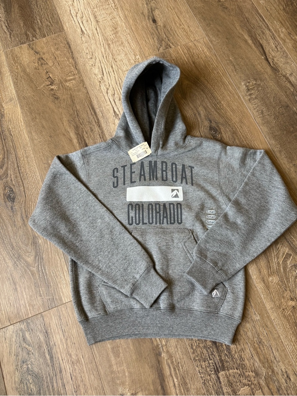 Steamboat Colorado Men's Gray Pullover Hoodie